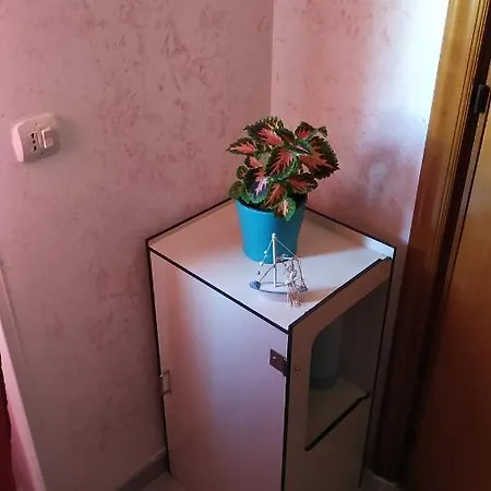 Maisonsalvatorevieste *